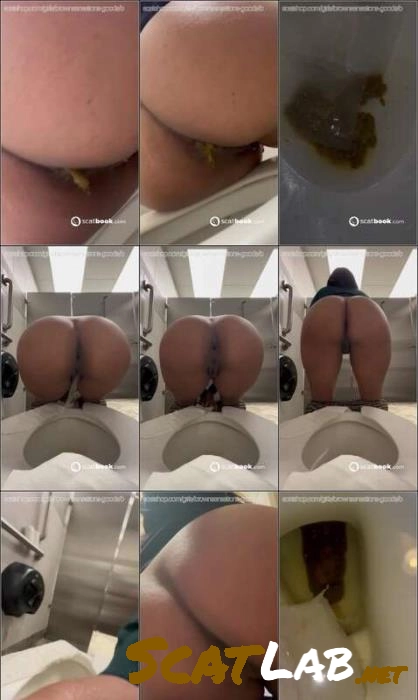 Download BrownSensation8 Pissing, Big Toys – Random toilet dumps USA ScatLab.net