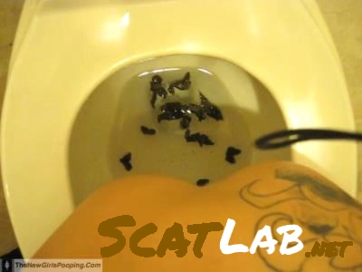 Scatting Girl - 2 (Kylie) Milf, Homemade [SD] TheNewGirlsPooping