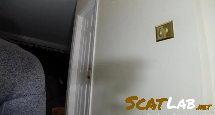 BrownSensation8 Custom video-02 –  HD 720p – ScatLab poster