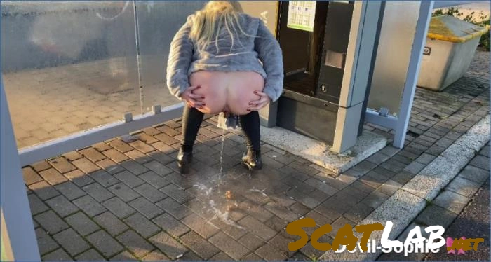 Download SteffiBlond and Devil Sophie Public Nudity and Human Toilet in Germany Scene ScatLab.net
