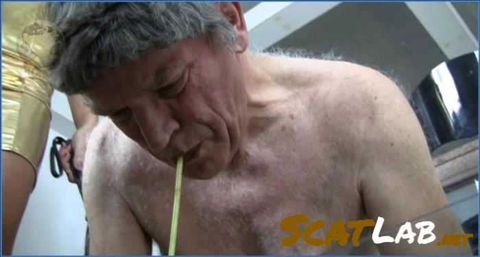 Download Toilet Slave Domination and Peeing Action - Kaviar Video Germany ScatLab.net