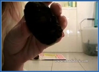 Ana Didovic Efro – exam Netherlands