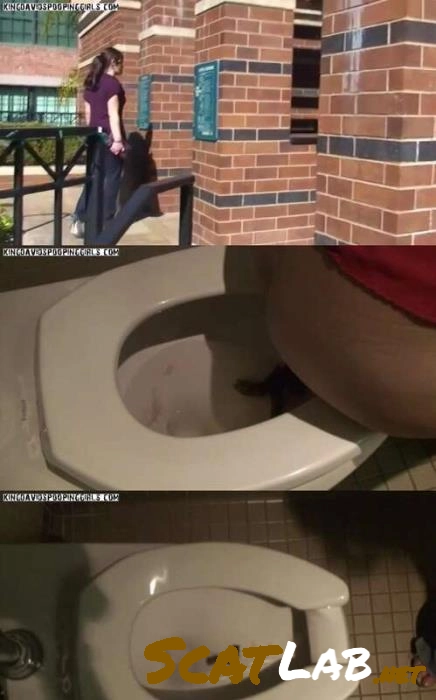 Download Alina, Demi, Aspen Pooping – Shante Public Restroom Pooping Netherlands ScatLab.net