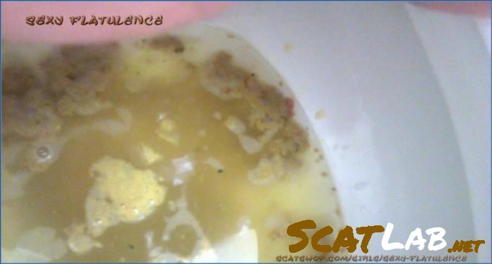 SexyFlatulence Pissing, Peeing – Diarrhea in the Toilet USA