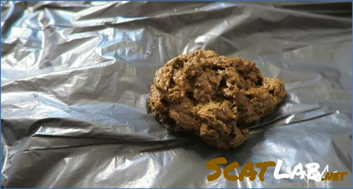 Miss Medea Mortelle BDSM, FULL HD SCAT – Teach You to Eat My Shit Germany