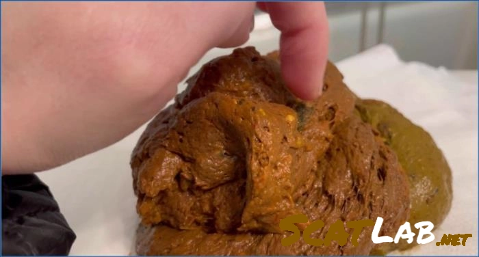 Download Sophia Sprinkle Panty Poop, Big Ass – GINORMOUS Vacation Dump+Exam USA ScatLab.net