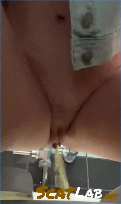 Download Romanian Mistress Pissing and Farting in Public Bathroom – UltraHD 4K ScatLab.net