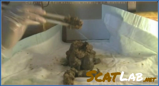 Bossy Delilah's Extreme Puerto Rican Scat Video on ScatShop and Scatbook – ScatLab poster