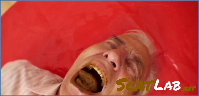 German Scat Action with Lady Amy and Lady Atropa in Miss Flowers Hospitable P1 – ScatLab poster