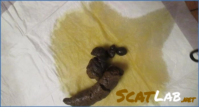 Intense Watersports Action with Katastrophic in Washington