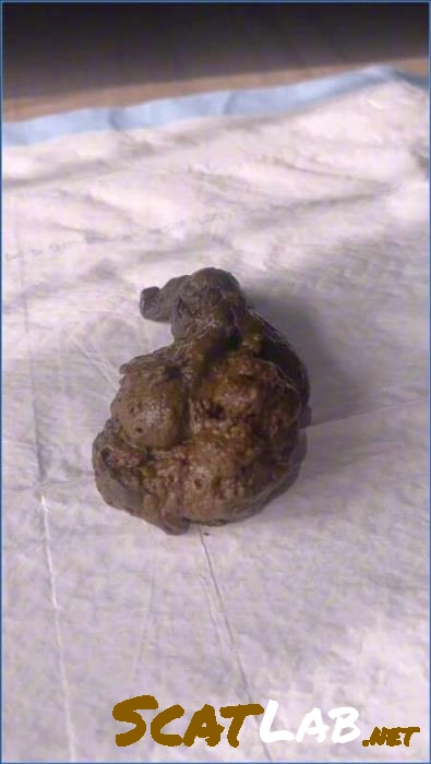 Download Miss Raines Watersports, Pissing – Miss Raines Watersports Focus USA Submission (HD 720p) ScatLab.net