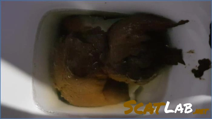 Gina's Xmas Scat Showdown in HD – ScatLab poster