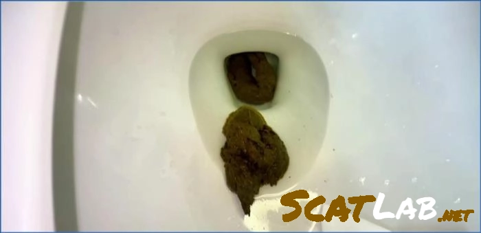 Pulsifer Paprocki Hardcore Scat Compilation – 42 Minutes FullHD 1080p – ScatLab poster