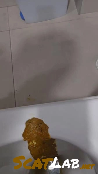 Scatbook: (Miss Lith) - Scatting Girl 22 [SD] (69.4 MB) – ScatLab poster