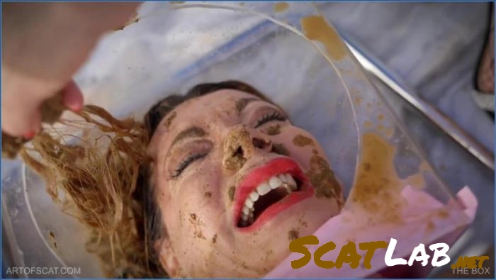 Scat Pervert Girls Lesbian, Eat shit – Artof Scat – THE BOX (FullHD 1080p) – ScatLab poster