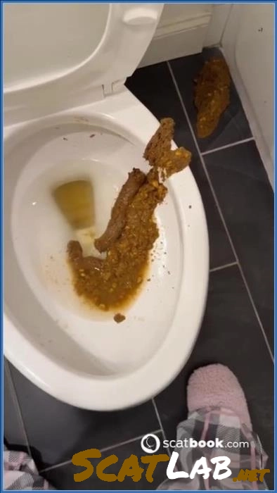 Download Bossy Delilah  – Bossys Bathroom Blunder A Splattered Catastrophe (SiteRip) ScatLab.net