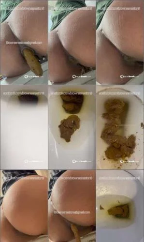 The load after the feast (BrownSensation8)  [SiteRip] Scatbook – ScatLab poster