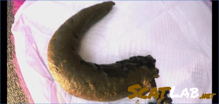 Blonde GoddessPoo's Intense Toilet Slave Scat Humiliation in UltraHD 4K – ScatLab poster