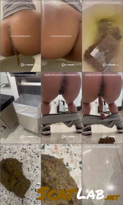 BrownSensation8 Public Shits and Pissing, Big Toys Hardcore 32.35 MB – ScatLab poster
