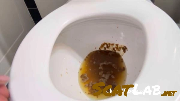 Download Scatbook - Shit For BDSM And Fetish Lovers 222 [HD 720p] 10.8 MB ScatLab.net
