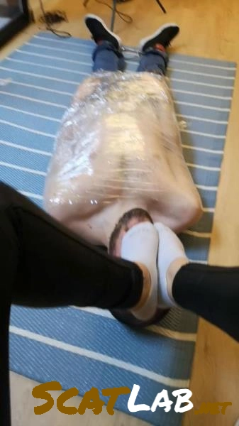 Download Scatbook - Pies-Darkfans [SD] 106 MB ScatLab.net