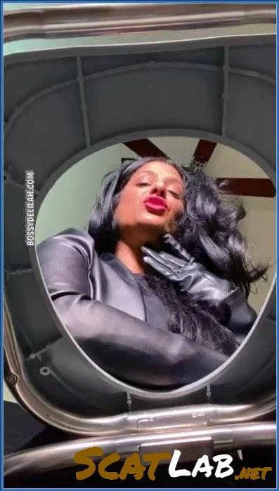 Download Aggressive Latin Scat Queen - Kaviar, Teen (SiteRip / 63.72 MB) ScatLab.net