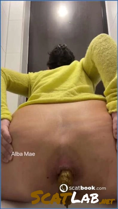 Download Pooping in Public Toilet - Big Toys, Kaviar (HD 720p / 7.64 MB) ScatLab.net