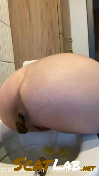 Scatbook.com - Heavi dinner for pathetic slut [SD] 14.3 MB – ScatLab poster