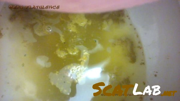Scatshop - Diarrhea In The Toilet [FullHD 1080p] 365 MB – ScatLab poster