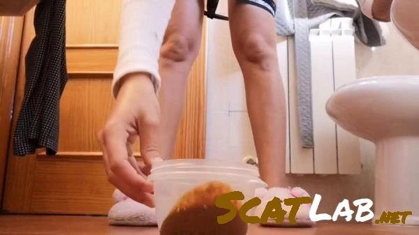 Scatbook - Scat y Pissing [HD 720p] 33.1 MB – ScatLab poster