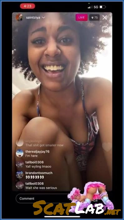 Download Pissing at the Mall on Instagram Live - Efro, Toilet (SiteRip / 14.84 MB) ScatLab.net