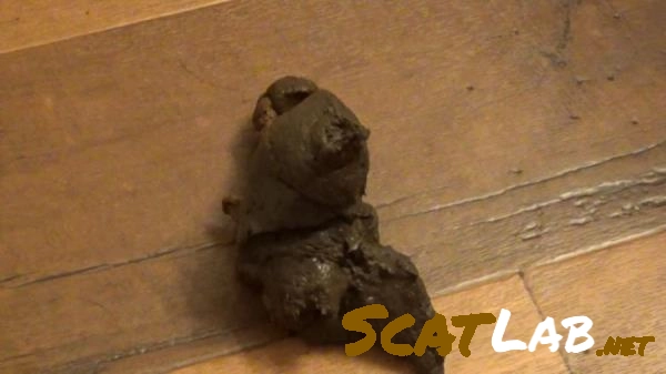 Scatshop.com: (SexyScatForYou aka Katastrophic) - It's Been 48 Hours Since I Last Pooped! This Was HUGE! Schoolgirl Outfit [FullHD 1080p] (350 MB) – ScatLab poster