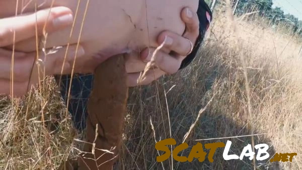 Filthygrid.com - Highway Pooping [HD 720p] 35.0 MB – ScatLab poster