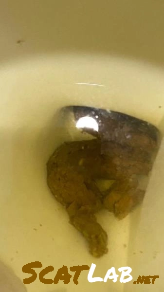 Scatshop.com - Shitting On The Bathroom Floor At Work [SD] 347 MB – ScatLab poster