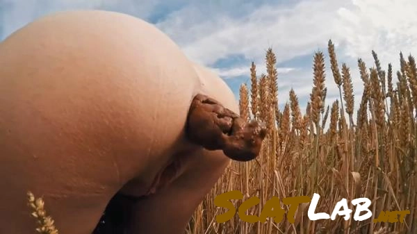 Filthygrid.com - HUGE Summer Field Poop [HD 720p] 24.0 MB