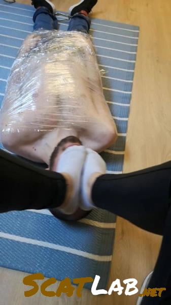 Scatbook.com - Pies Darkfans [SD] 106 MB – ScatLab poster