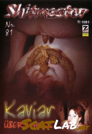 Z-Faktor - Shitmaster 81 [DVDRip] 1.98 GB