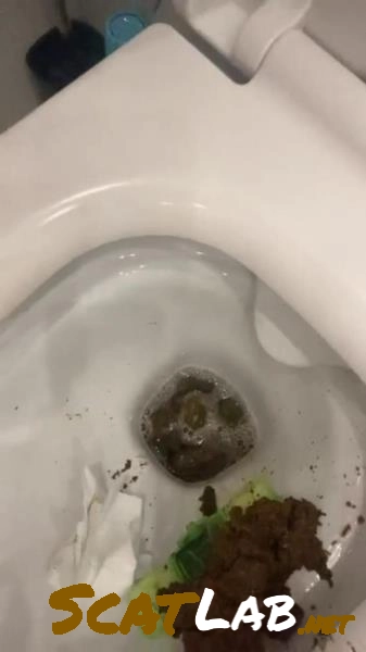 Download Scatbook.com - Daily portion of shit for my bitches [SD] 12.2 MB ScatLab.net