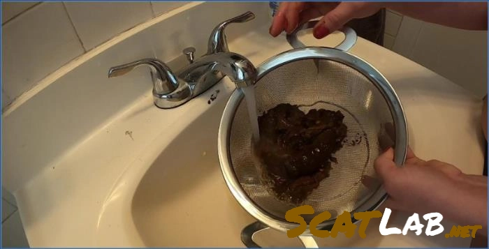 Layla Lee’s Big Tits Treasure Hunt – FullHD Scat – ScatLab poster