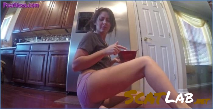 Extreme Dirty Smearing and Shitting Scat Compilation 2015-2017 FullHD – ScatLab poster