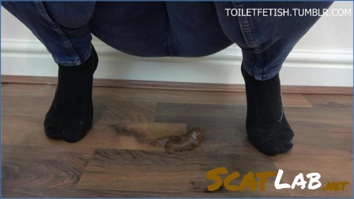 Kaidence King Delivers Hardcore Scat Action in FullHD – ScatLab poster