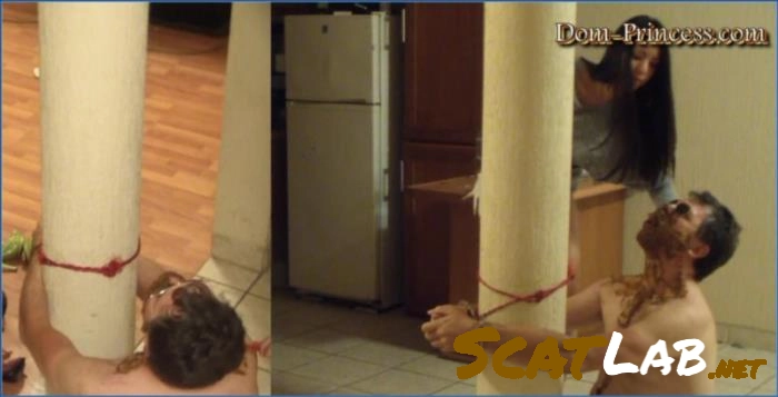 Adison HD Stars in Scat-Princess Verbal Humiliation Poop Session Part 4 – ScatLab poster