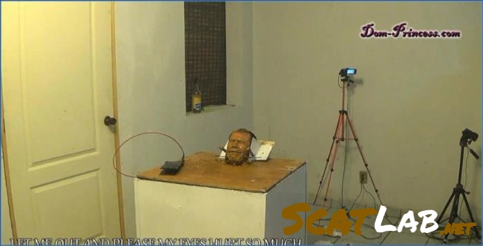 Carmen's Extreme Mexican Scat & Verbal Humiliation Hardcore FullHD – ScatLab poster