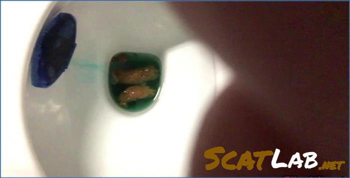 Ella Gilbert's 5-Day Bowel Movement Compilation on Scat HD - scat porn video at ScatLab.net