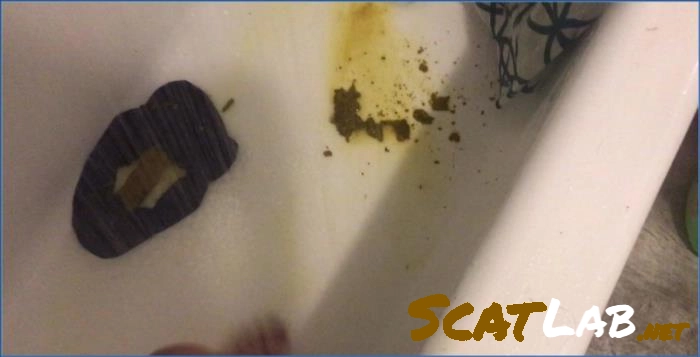 filthy Solo Scat and Anal Masturbation in HD - related scat video at ScatLab