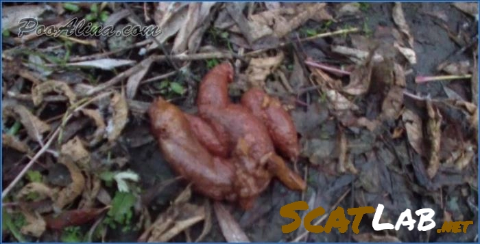 Alina Scat Video in Autumn Forest with Verbal Humiliation – ScatLab poster