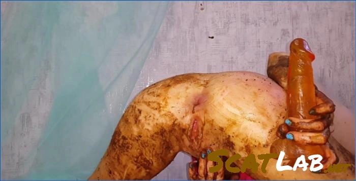 Wet Farts Vol 2 Part 1 Prolapse Scat with Anna Coprofield FullHD – ScatLab poster