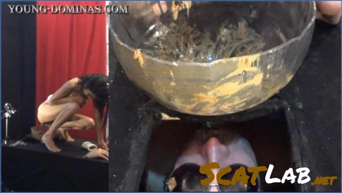 Black Box Poop Receiver Part 6 HD 1080 Raw Spanish Scat Featuring Stupid Slaves – ScatLab poster