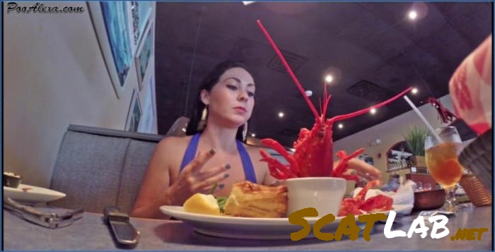 Alexa Delivers Hardcore Dine & Dump Scat Action in FullHD – ScatLab poster