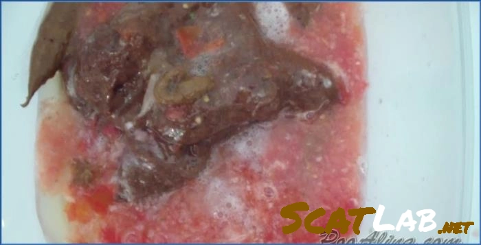 Ukrainian Alina's Extreme Scat Humiliation in HD – ScatLab poster